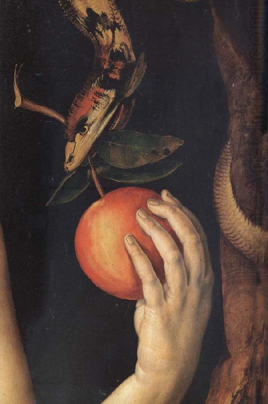 Adam and Eves, Albrecht Durer